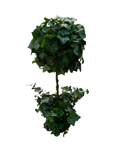 8" Topiary Ball on Stem Ivy